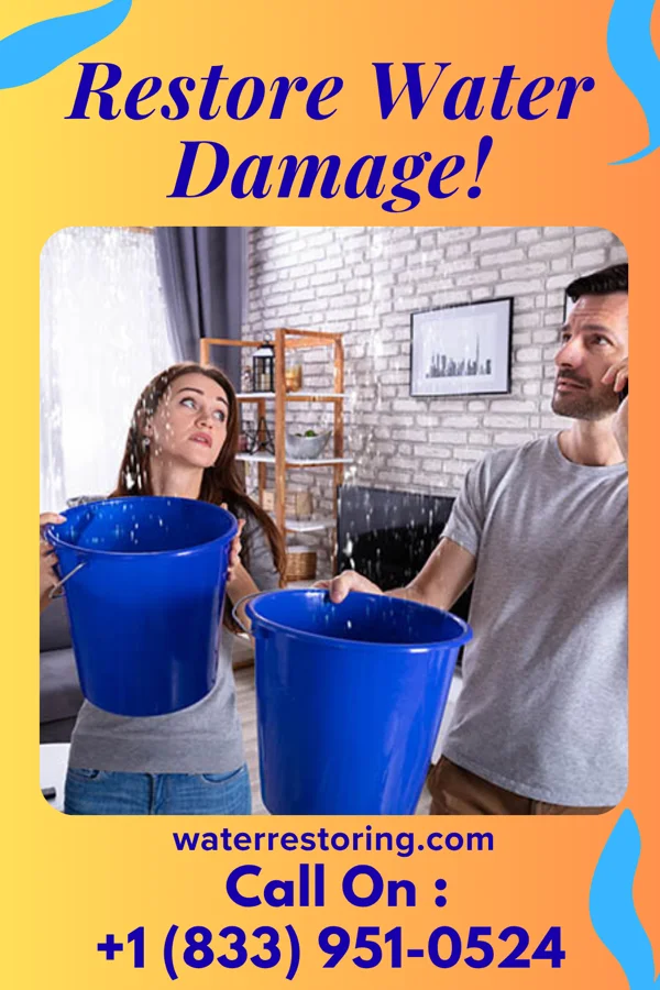 water restoration Eco Flood Cleanup Services Odessa