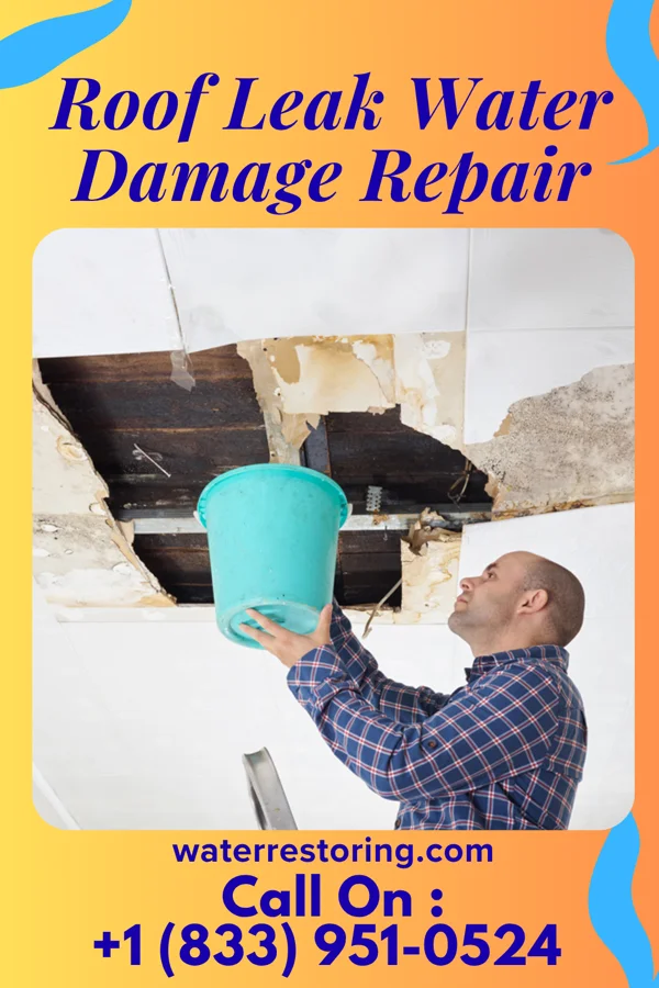 Roof Leak Water Damage Repair in Odessa, NY