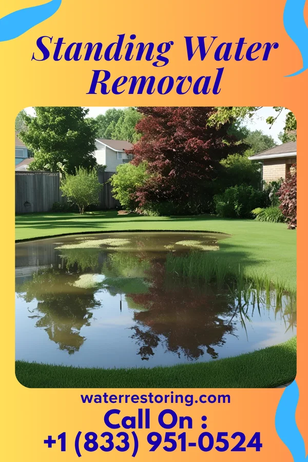 Standing Water Removal in Odessa, NY